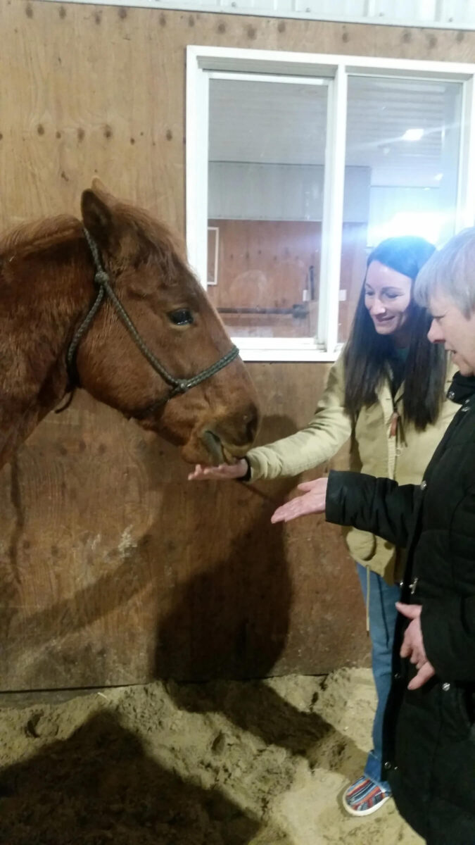 Two women are inside a stable, smiling and feeding a brown horse. One woman holds her hand out with a treat while the horse nuzzles it. The stable has wooden walls and a window in the background.