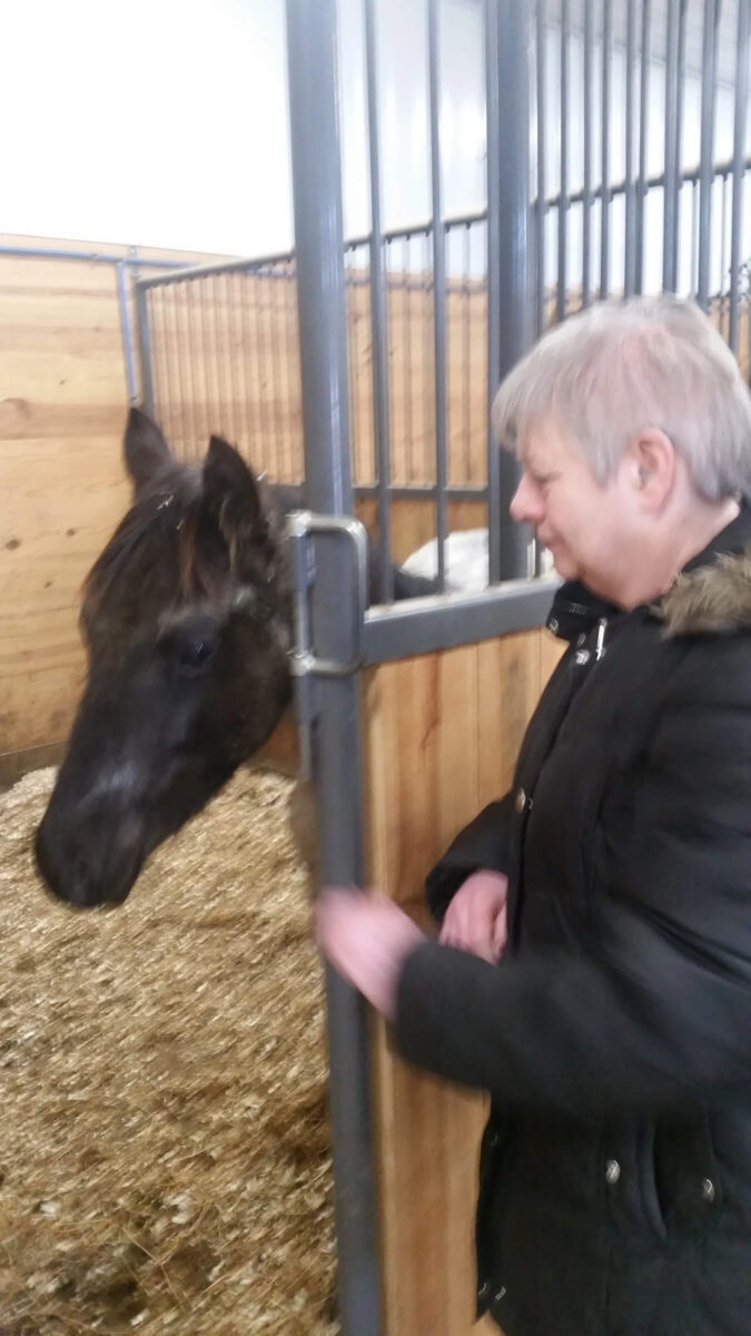 A person in a dark coat pets a black horse's head over a stable door. The stable is made of wood and metal, with straw on the ground. The scene suggests a calm interaction between the person and the horse.