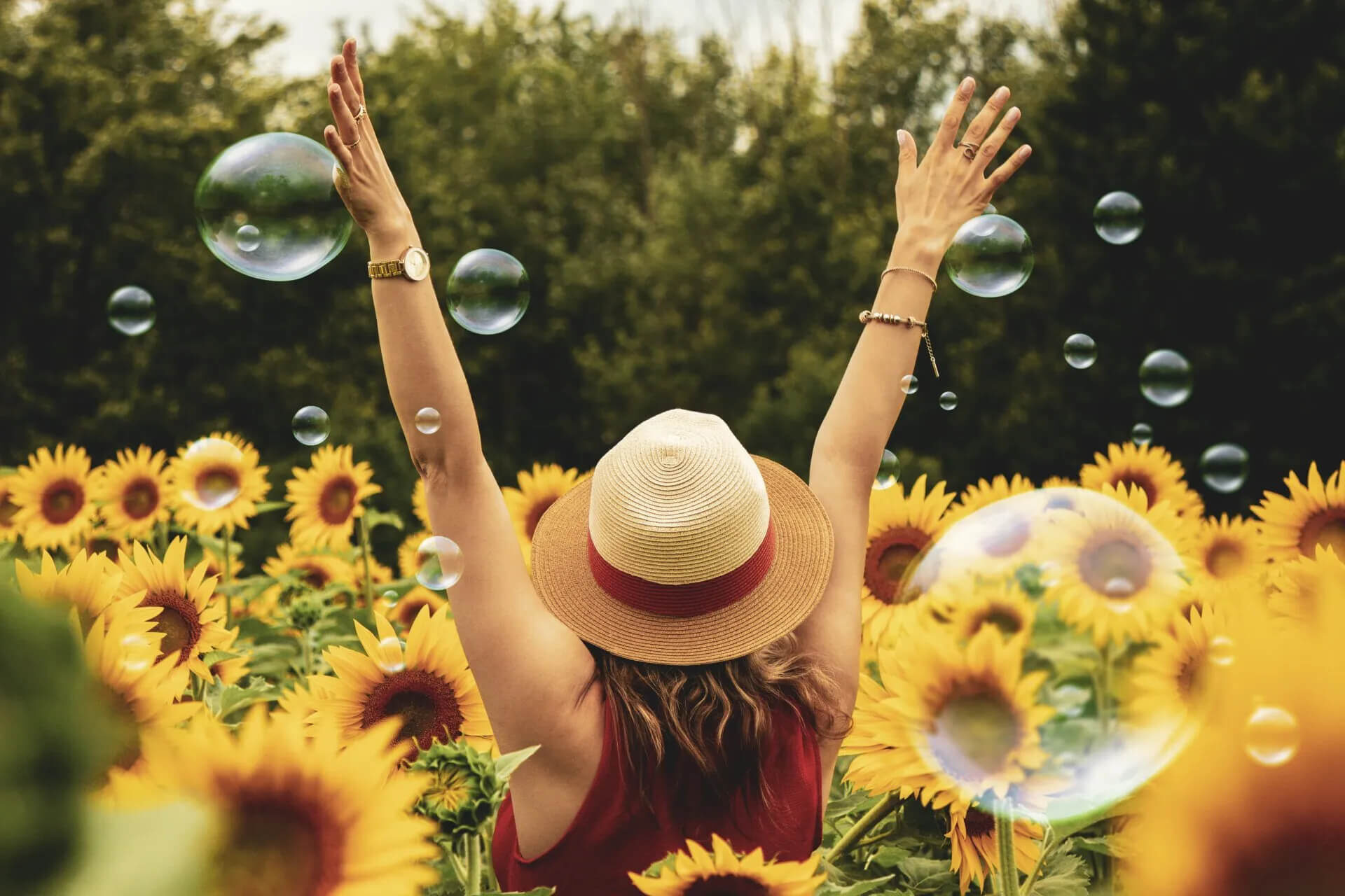 A person wearing a straw hat raises their arms joyfully in a field of sunflowers. Bubbles float around them, and green trees are in the background.