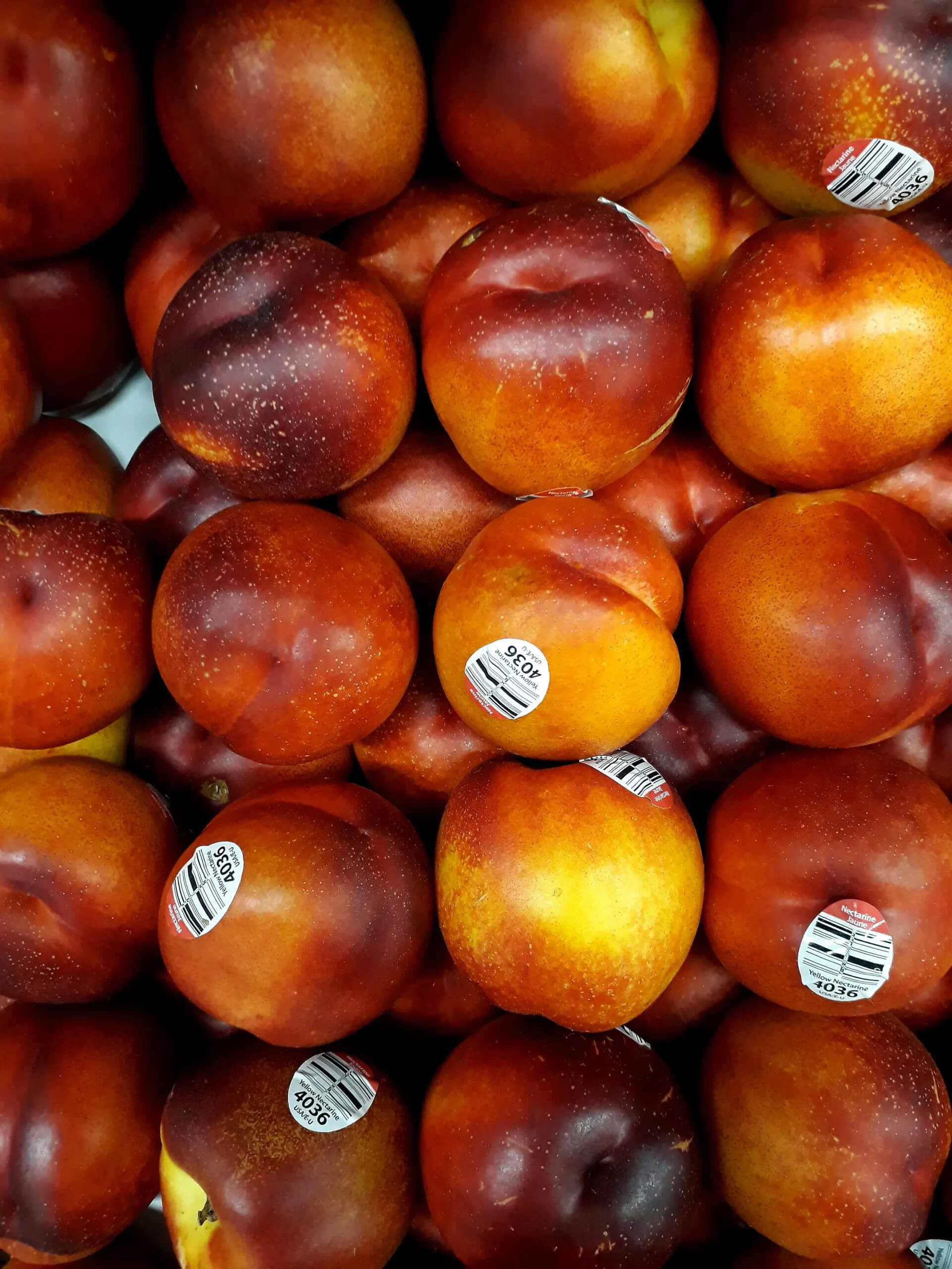 A pile of ripe nectarines with smooth red and yellow skin, some with small stickers indicating their price and origin, are arranged closely together in a grocery display.