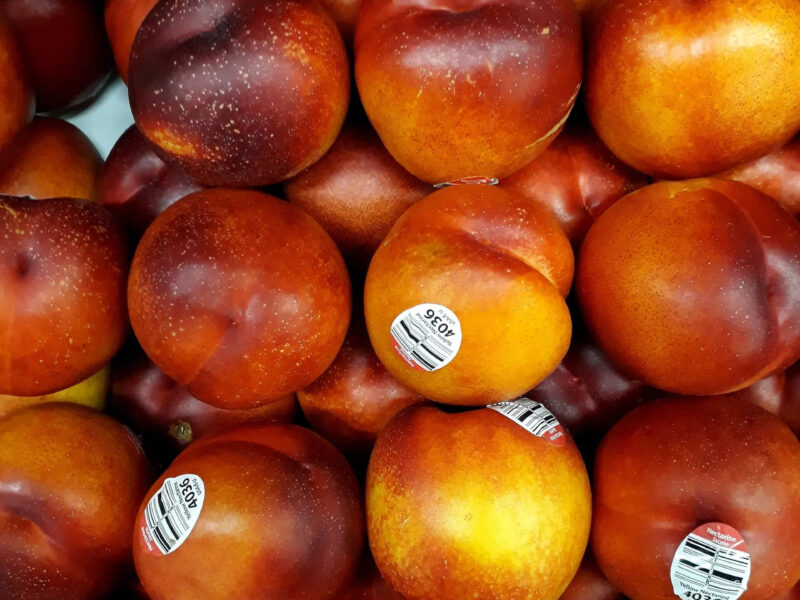 A pile of ripe nectarines with smooth red and yellow skin, some with small stickers indicating their price and origin, are arranged closely together in a grocery display.